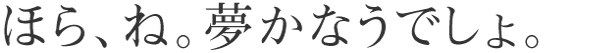 ほら、ね。夢かなうでしょ。